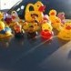 DuckNation inspire les fans