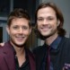 Les PCA sans les J2