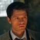 Des nouvelles de Misha