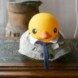 DuckNation