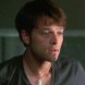 Misha sur M6 !