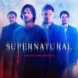 Promo Saison 10 !