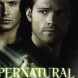 Saison 11 : En DVD