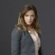 Une saison compl�te pour Arrow