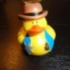 Duck Nation