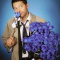 100 roses pour Castiel !