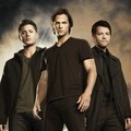 BuddyTV Fan Favorites Awards