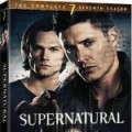 DVD saison 7