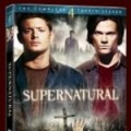 DVD Saison 4: premi�re info