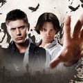 Sondage
