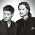 PCA 2013 : Photos & Vid�os