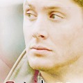 Sondage