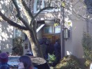 Supernatural BTS Saison 6 