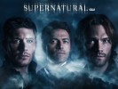 Supernatural Promo saison 13 et 14 