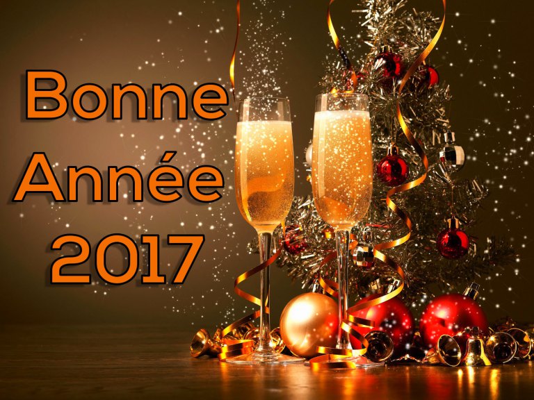 bonne-annee-2017.jpg